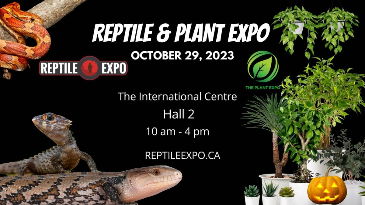 Reptile and Plant Expo